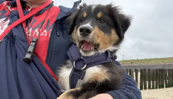 Die ersten zwei Wochen sind um