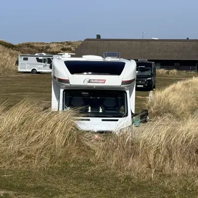 4 Füße & 12 Pfoten auf Tour